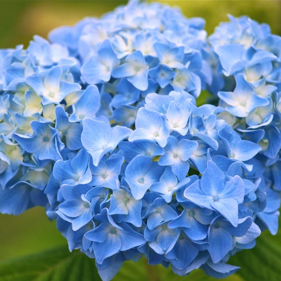 Terrific Prices * Brand Names * New Arrivals - Picture 6 of 6